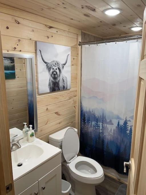 Creekside 3 Bedroom 2 Bath Cabin On Private Creek Banner Elk Buitenkant foto